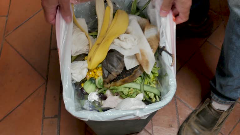 Trusted Greenfield, IA Junk Removal Services Experts